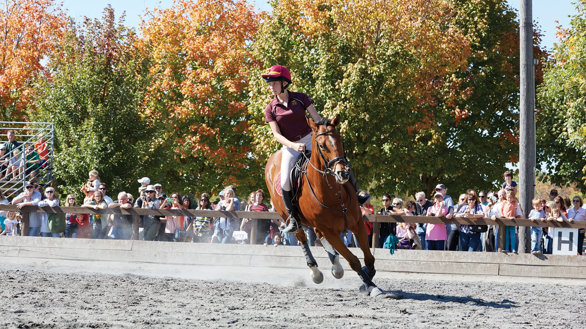 Danada Fall Festival 2024 Spring Equinox 2024